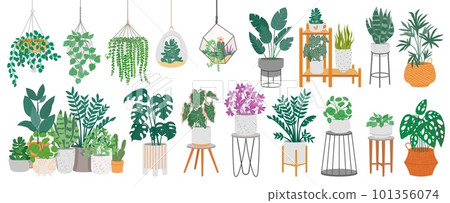 Indoor plants with decorative greenhouse elements. Green plants standing in pots on shelves, hanging in planter, macrame at cozy interior isolated on white background. Vector set 101356074