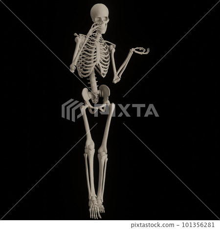 Skeleton of human body posing black back 101356281