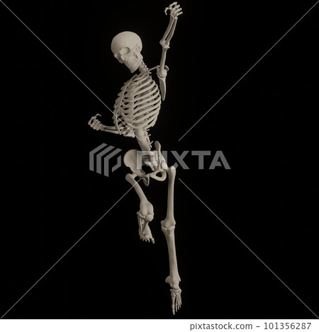 Skeleton of human body posing black back Skeleton of human body posing black back 101356287