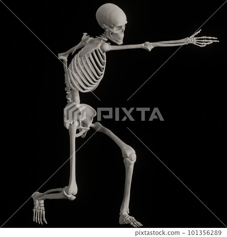 擺黑後面的人體骨骼 101356289