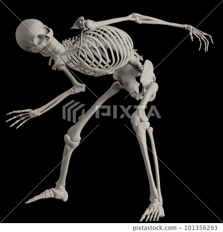 Skeleton of human body posing black back 101356293