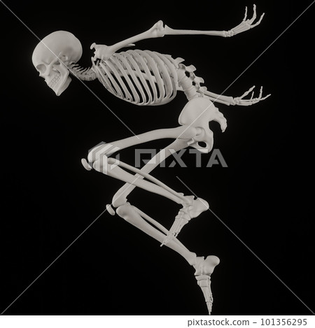 擺黑後面的人體骨骼 101356295