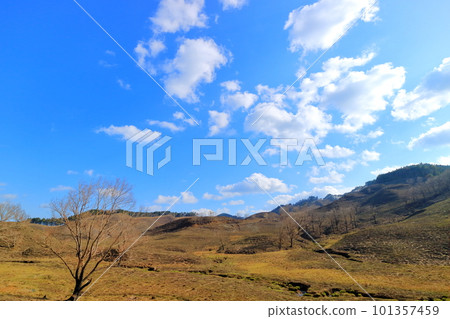 Tonomine Plateau in spring 101357459