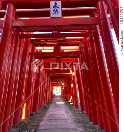 群馬縣神社鳥居小泉稻荷 101357674