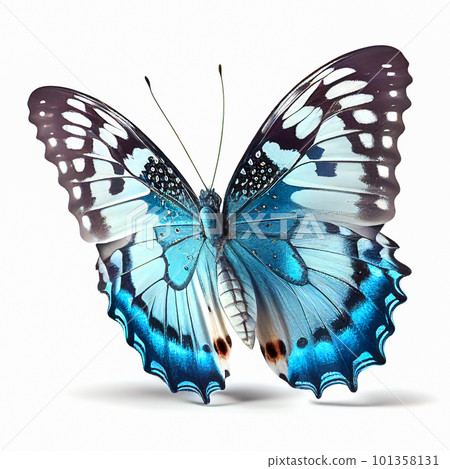 Blue butterfly isolated on white background.... - Stock Illustration ...