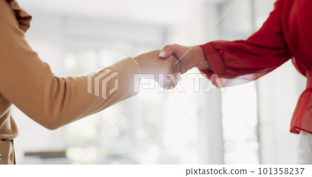 Partnership, thank you and handshake from business women happy with investment deal, negotiation or agreement. Hand shake, welcome and people shaking hands for b2b collaboration or corporate contract 101358237