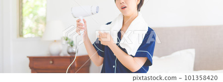 Hairdrier, hair drier, hairdryer 101358420