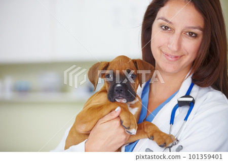 Your puppy is back to perfect health. Portrait of a pretty smiling vet holding a puppy and smiling at the camera. Your puppy is back to perfect health. Portrait of a pretty smiling vet holding a puppy and smiling at the camera. 101359401
