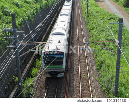 電車 橫濱線 101359688