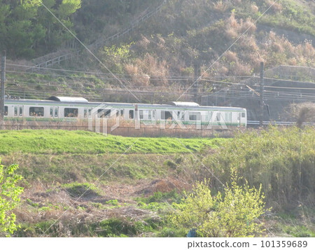 電車 橫濱線 101359689