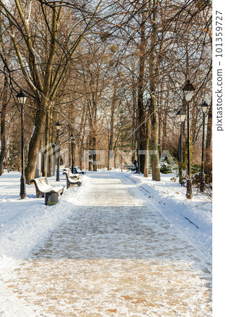 Empty benches covered with snow in winter park 101359727