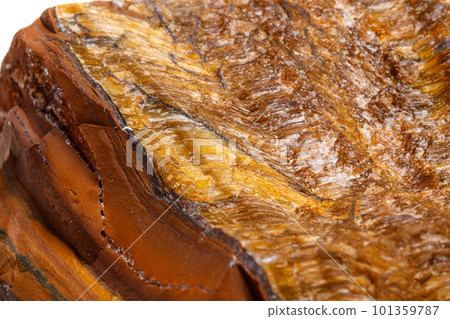 Macro mineral stone Tiger's eye in the breed on a white background 101359787
