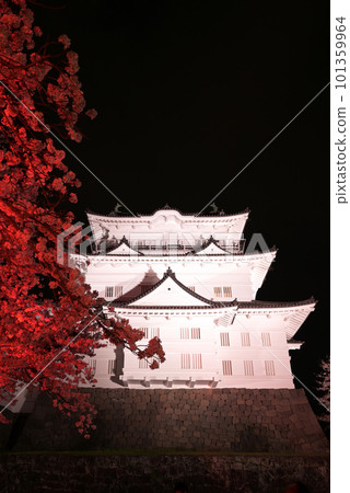 遠眺小田原城和櫻花 101359964