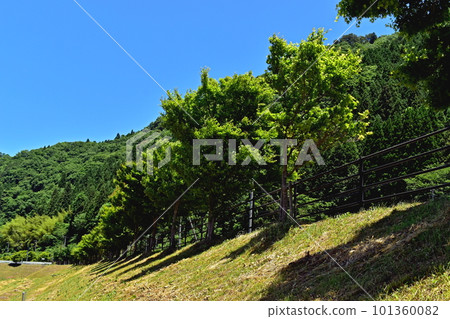 Higashi Sanbe Flower Valley Shimane Higashi Sanbe Flower Valley Shimane 101360082