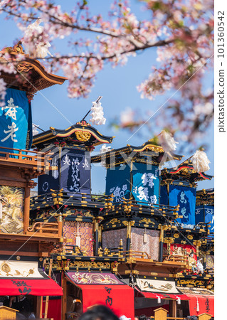 Inuyama Festival, cherry blossoms in full bloom and Mt. Kuruma <Inuyama City, Aichi Prefecture> Inuyama Festival, cherry blossoms in full bloom and Mt. Kuruma <Inuyama City, Aichi Prefecture> 101360542