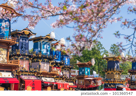 Inuyama Festival, cherry blossoms in full bloom and Mt. Kuruma <Inuyama City, Aichi Prefecture> 101360547