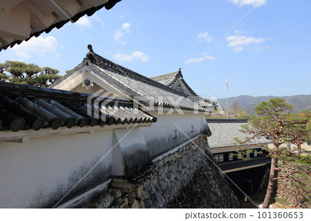 春天的高知城，從天守閣一樓看到的東多門，Tsumemon 101360653