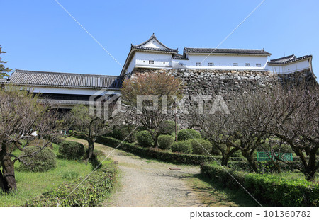 View of Kochi Castle Honmaru's Tsumemon, Roukamon, and Nishi Tamon from the Ume-no-dan View of Kochi Castle Honmaru's Tsumemon, Roukamon, and Nishi Tamon from the Ume-no-dan 101360782