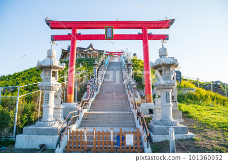 「青森縣」八戶市蕪島神社 101360952