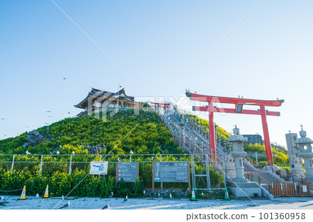 「青森縣」八戶市蕪島神社 101360958