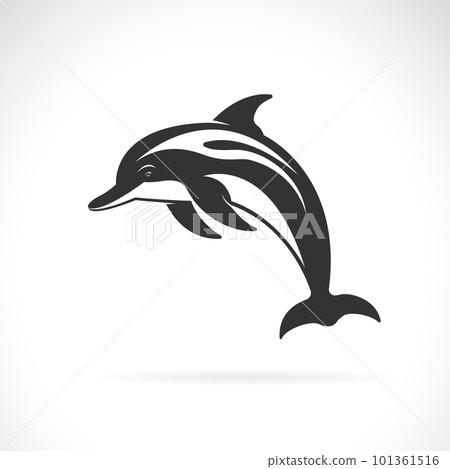Vector of a dolphin design on white background. Easy editable layered vector illustration. Sea Animals 101361516