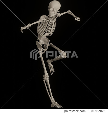 Skeleton of human body posing black back 101362023