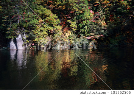 有斑點光的秋葉反射在湖水中 101362506