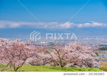 (Yamanashi Prefecture) Togenkyo Kofu Basin and the Alps in Spring (Yamanashi Prefecture) Togenkyo Kofu Basin and the Alps in Spring 101362663