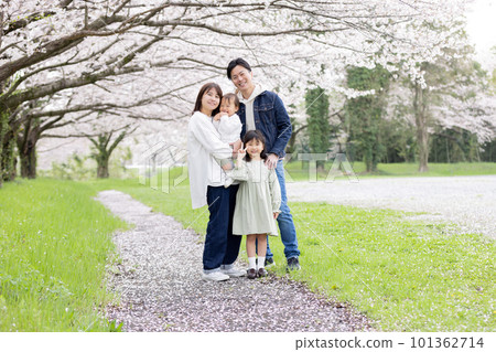 走在櫻花公園的家庭 101362714