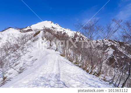 在余雪季節從天神嶺看到的谷川岳 101363112