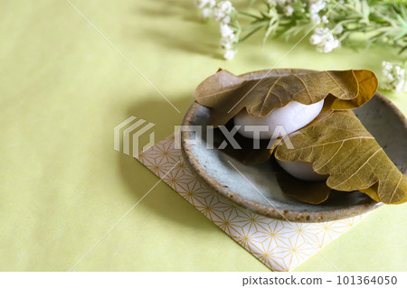 Kashiwamochi on a plate 101364050