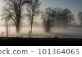 foggy winter morning 101364065