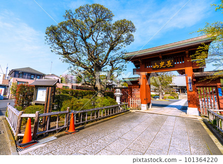 日本橫濱市景 東急電商妙蓮寺站前妙蓮寺景觀 101364220