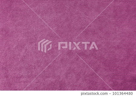 Pink velveteen upholstery fabric texture background. 101364480