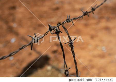 Barbed wire, close up. Barbed wire, close up. 101364539