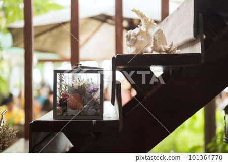 Sea shell decoration on wooden stair at outdoor restaurant Sea shell decoration on wooden stair at outdoor restaurant 101364770