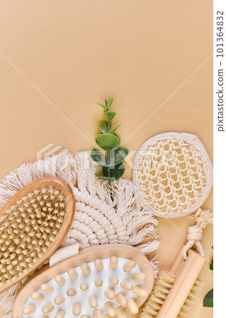 Natural wooden brushes for dry and anti-cellulite massage. Natural wooden brushes for dry and anti-cellulite massage. 101364832