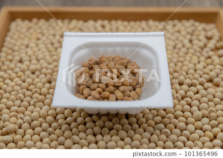 A pack of natto is placed on a tray covered with soybeans. A pack of natto is placed on a tray covered with soybeans. 101365496