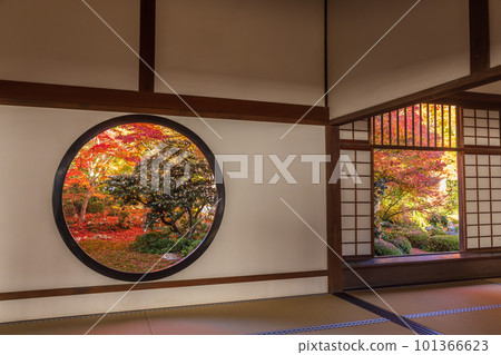 Autumn leaves of Kyoto Genkoan Autumn leaves of Kyoto Genkoan 101366623