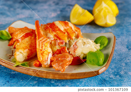 Fresh lobster cooked to perfection in gourmet dinner kitchen before it is served with lemon Fresh lobster cooked to perfection in gourmet dinner kitchen before it is served with lemon 101367109
