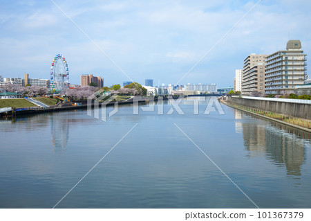 荒川遊樂園的新摩天輪和盛開的櫻花 荒川遊樂園的新摩天輪和盛開的櫻花 101367379