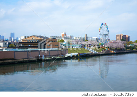 荒川遊樂園的新摩天輪和盛開的櫻花 荒川遊樂園的新摩天輪和盛開的櫻花 101367380