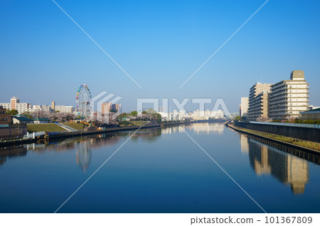 Arakawa Amusement Park's new Ferris wheel and cherry blossoms in full bloom Arakawa Amusement Park's new Ferris wheel and cherry blossoms in full bloom 101367809