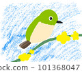 Japanese white-eye perching on a branch 101368047