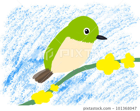 Japanese white-eye perching on a branch Japanese white-eye perching on a branch 101368047