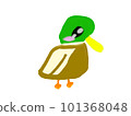 cute bird illustration 101368048