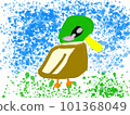 cute bird illustration 101368049