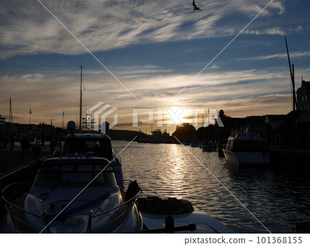 Norwegian moist scenery ⑩ 101368155