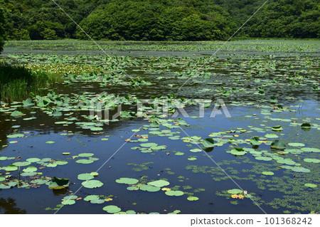 小山神池 / 下池拉姆薩爾公約註冊網站 101368242