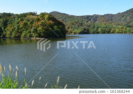 小山神池 / 下池拉姆薩爾公約註冊網站 小山神池 / 下池拉姆薩爾公約註冊網站 101368244